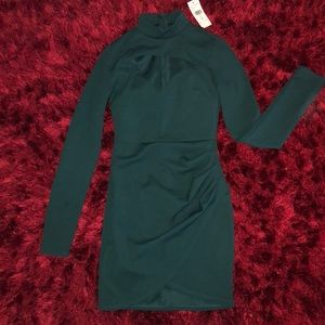 Fashion Nova dress 🌹